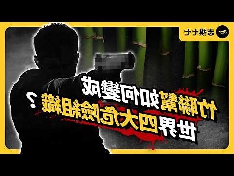 台祺 意思